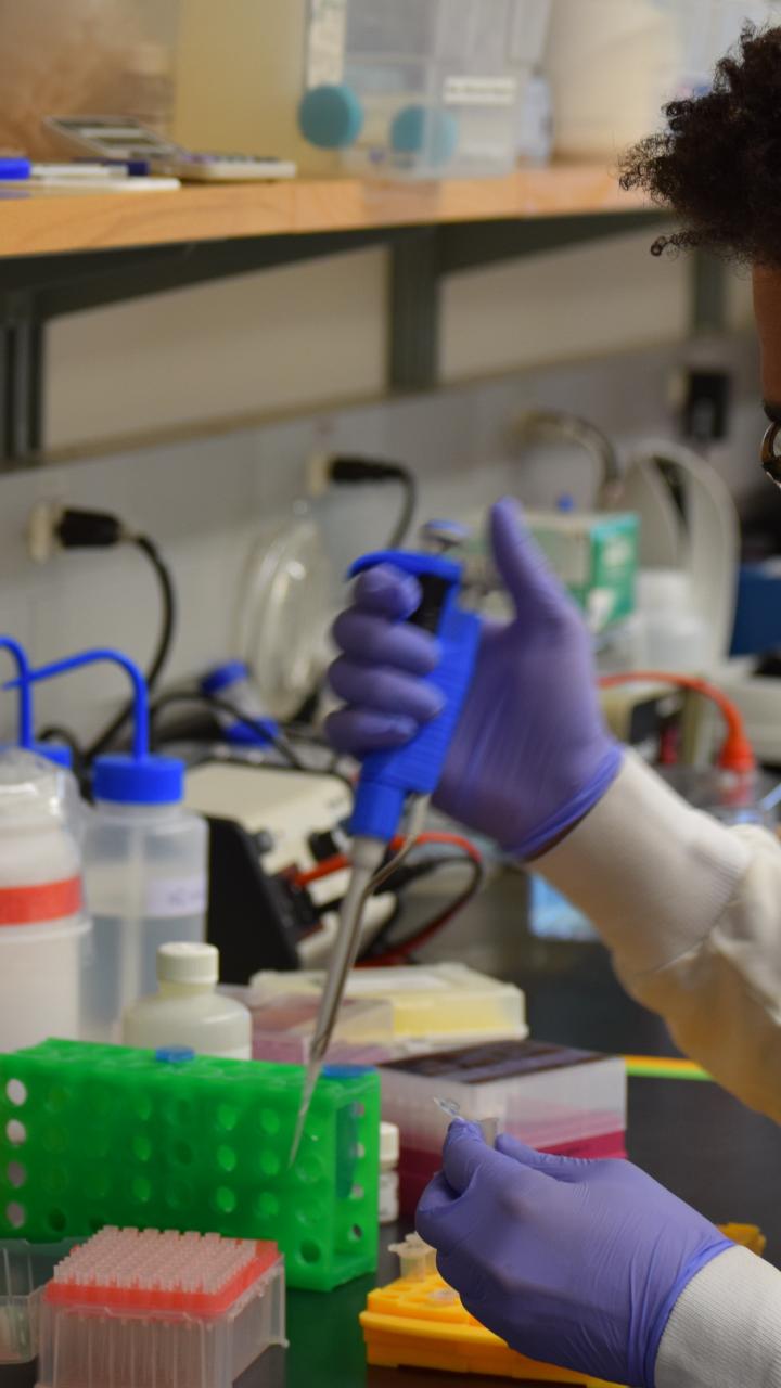 Dante preparing samples in the lab