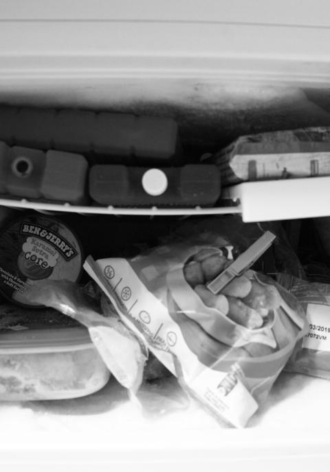 inside the freezer 