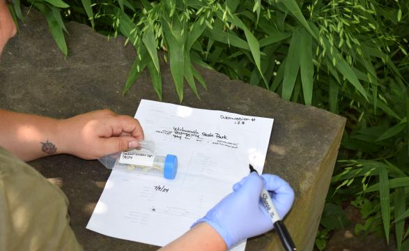 filling out paperwork