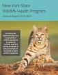 Thumbnail of NYS WHP Annual Report 2023-2024