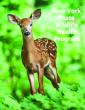 Thumbnail of NYS WHP Program Overview 2017