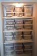 Wildlife tissue samples categorized in bins by species or date depending on project or purpose