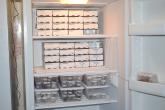 Tissues, lymph nodes and other samples from wildlife species in a minus 80 freezer
