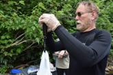 Recording details, such as weight and physical appearance, is an important piece of fieldwork.  
