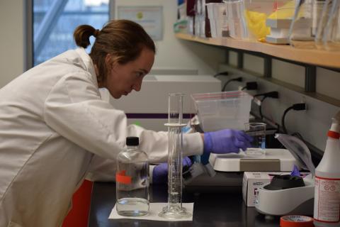 Dr. Kaganer preparing reagents for diagnostic testing