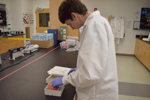 David in the wildlife lab pulling serum samples from the freezer for diagnostic testing.