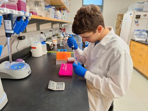 David diluting samples in the wildlife lab