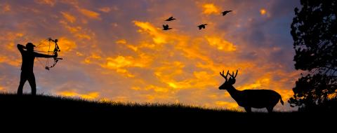 Bowhunter shooting at a target deer