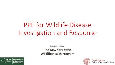 Thumbnail of title slide
