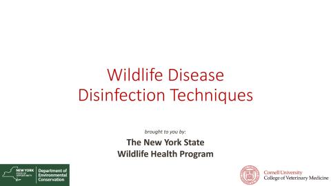 Thumbnail of title slide