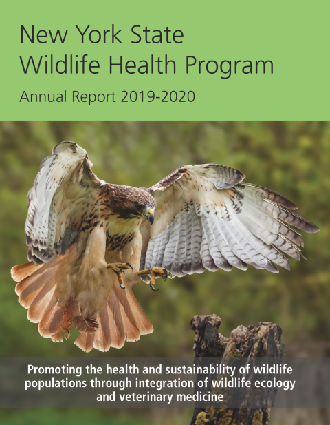 NYS WHP Annual Report 2019-2020