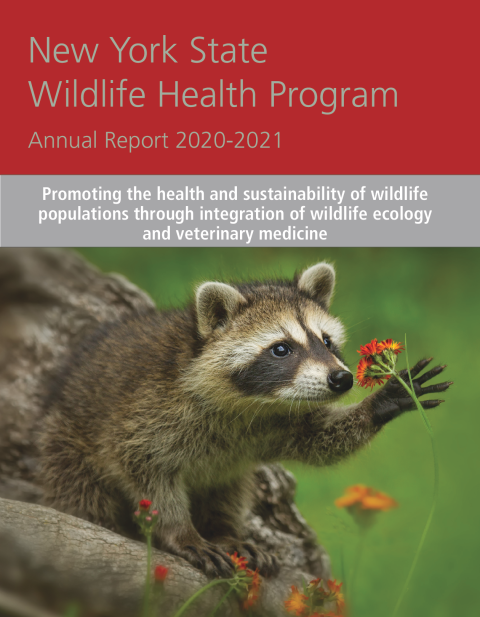 NYS WHP Annual Report 2020-2021