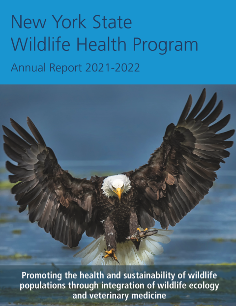 NYS WHP Annual Report 2021-2022