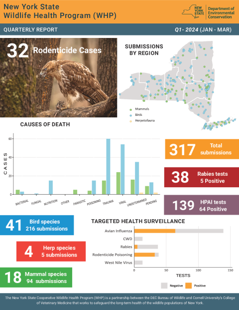 NYS WHP Quarterly Report Q1 2024