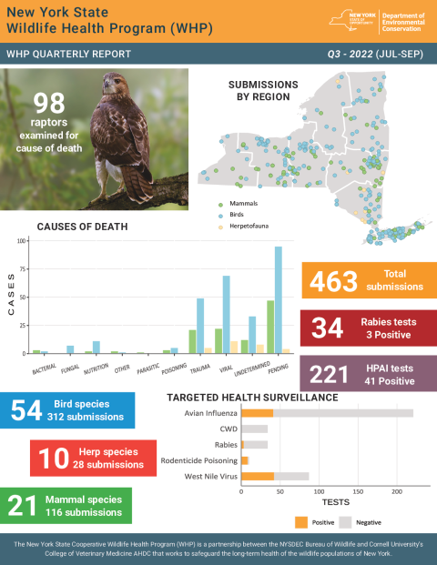 NYS WHP Quarterly Report Q3 2022