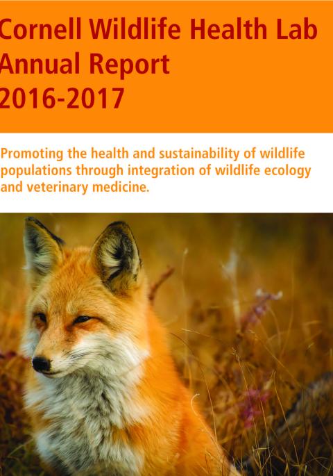 Thumbnail of NYS WHP Annual Report 2016-2017