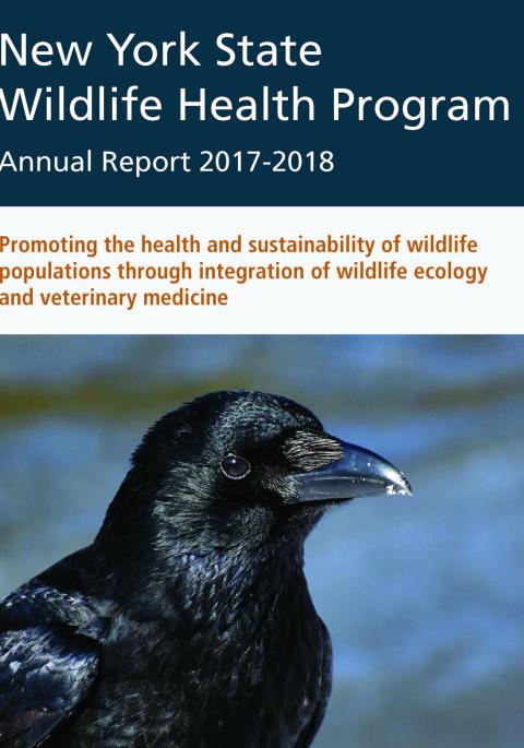 Thumbnail of NYS WHP Annual Report 2017-2018