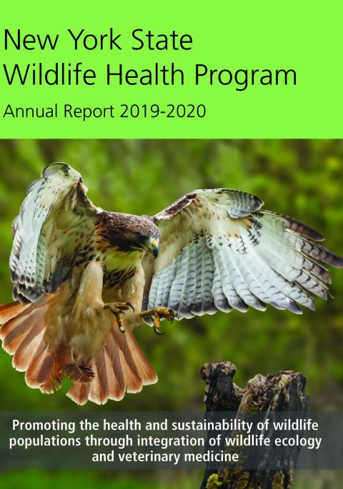 Thumbnail of NYS WHP Annual Report 2019-2020