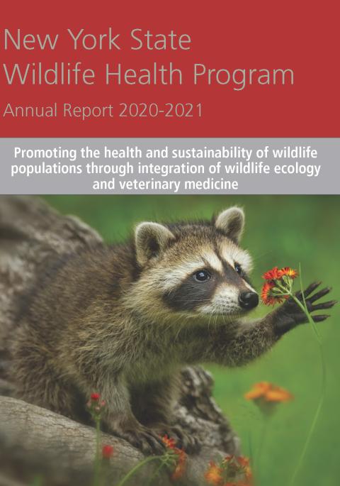 Thumbnail of NYS WHP Annual Report 2020-2021