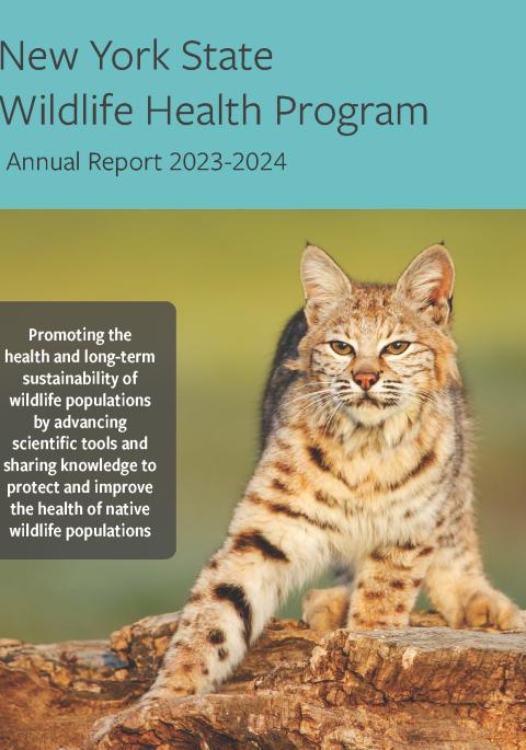 Thumbnail of NYS WHP Annual Report 20232-2024