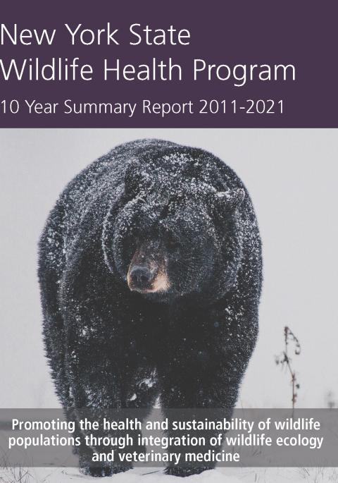 NYS WHP 10 year Summary Report 2011-2021