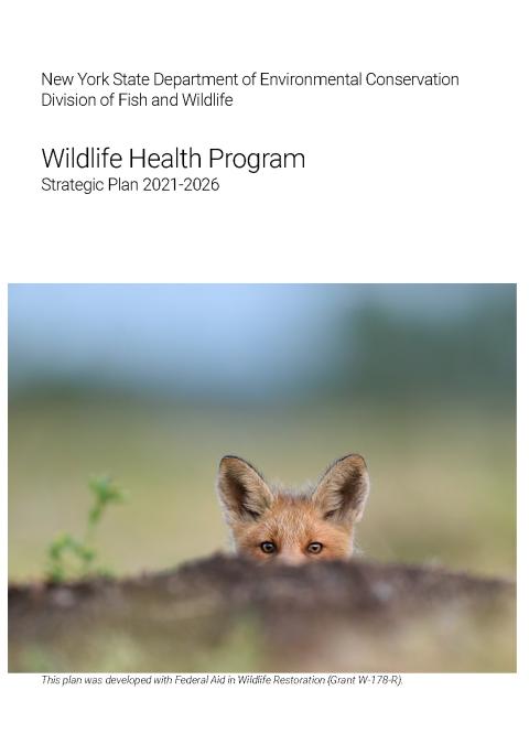 Thumbnail of NYS WHP Strategic Plan 2021-2026