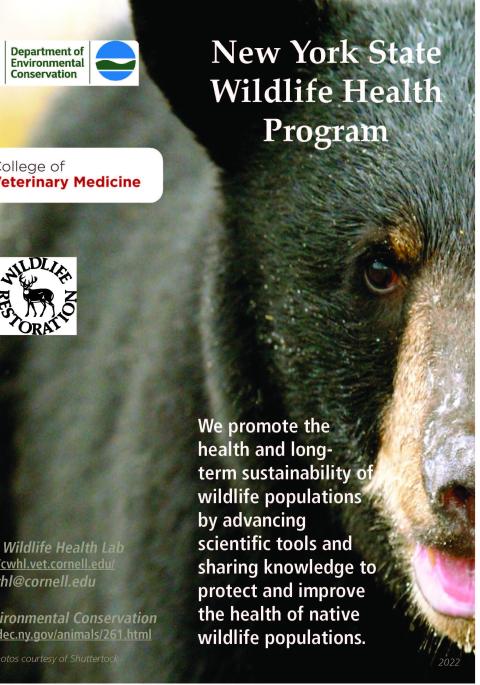 Thumbnail of NYS WHP Program Brochure 2022
