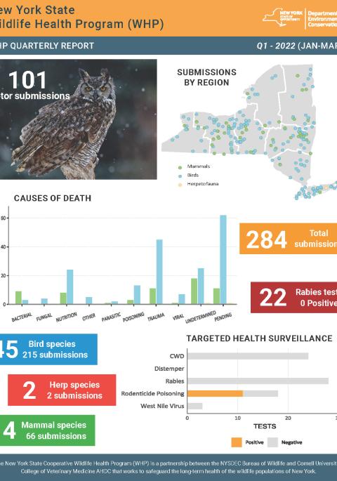 Thumbnail of NYS WHP Quarterly Report Q1 2022