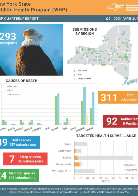 Thumbnail of NYS WHP Quarterly Report Q2 2021