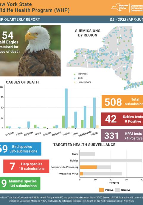 Thumbnail of NYS WHP Quarterly Report Q2 2022