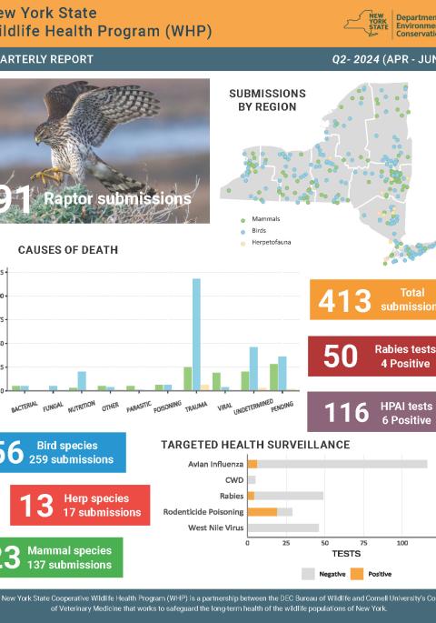 Thumbnail of NYS WHP Quarterly Report Q2 2024