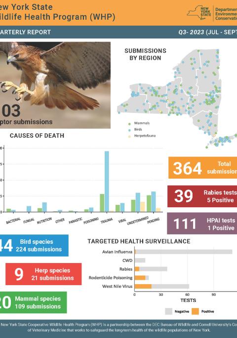 Thumbnail of NYS WHP Quarterly Report Q3 2023