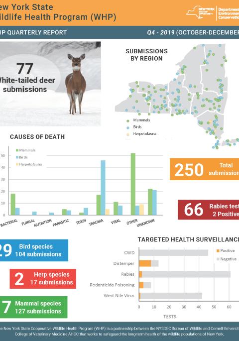 Thumbnail of NYS WHP Quarterly Report Q4 2019
