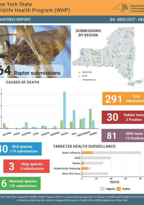Thumbnail of NYS WHP Quarterly Report Q4 2023