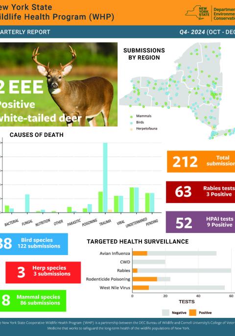 Thumbnail of NYS WHP Quarterly Report 