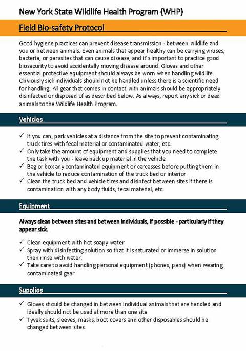 Thumbnail of fact sheet; click on image to download PDF