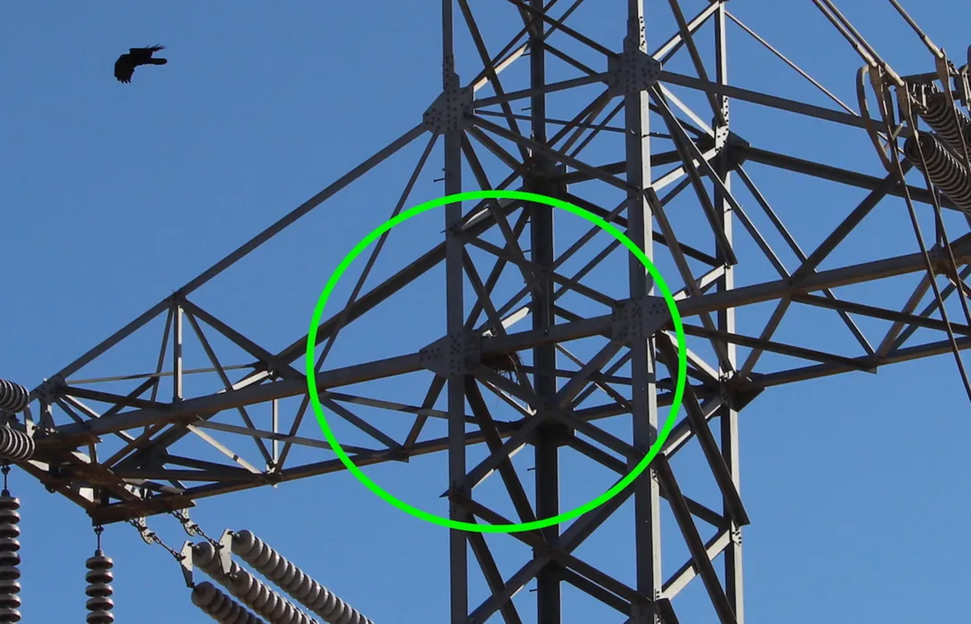 Power lines through the desert with a pair of common raven nests circled in green.