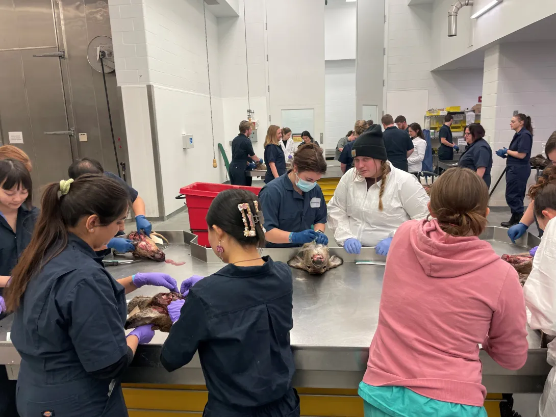 CWD Wet lab 
