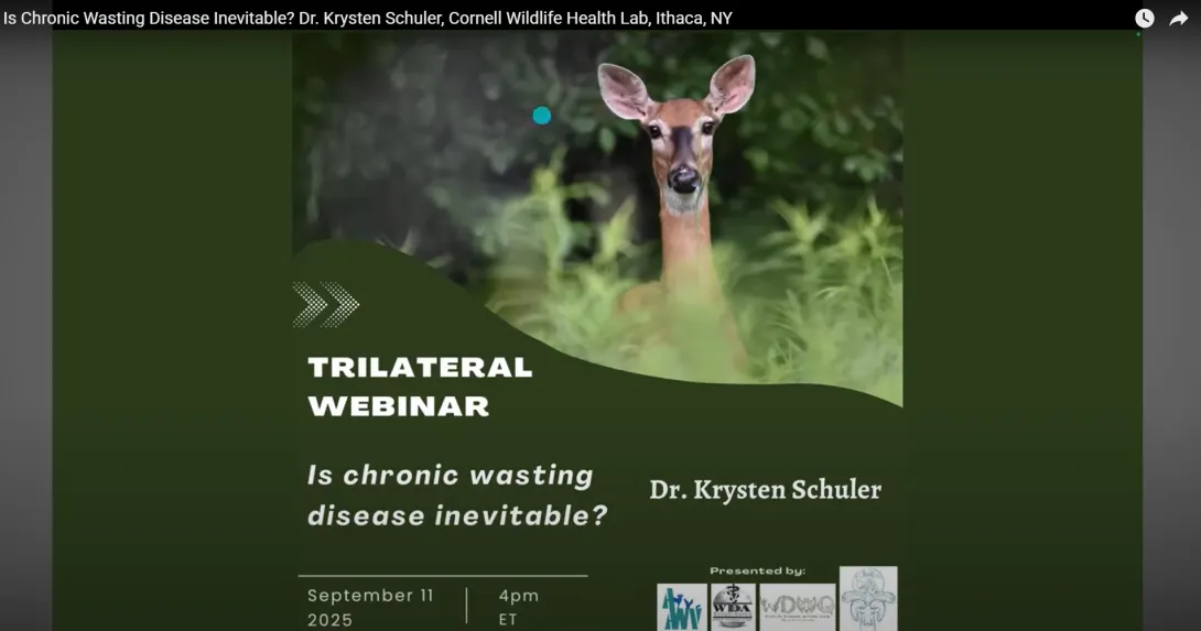 Thumbnail of title slide of TWS presentation